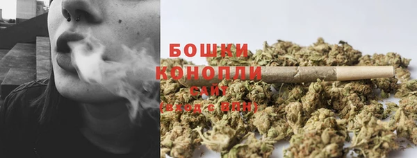 прущие крисы Коряжма