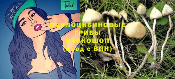 кристаллы Корсаков
