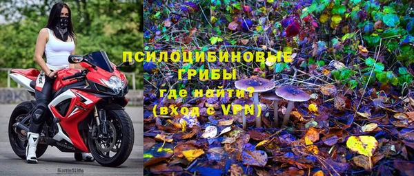 тгк Костерёво
