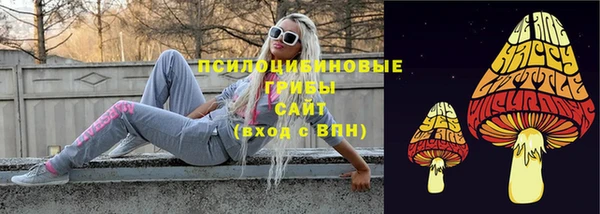 прущие крисы Коряжма