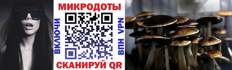 Купить закладки  Венёв  Галлюциногенные грибы мицелий 