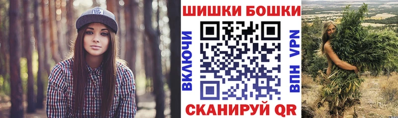 Канабис сатива  Купить закладки  Венёв 